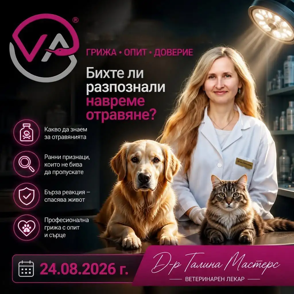поддръжка на фейсбук страници